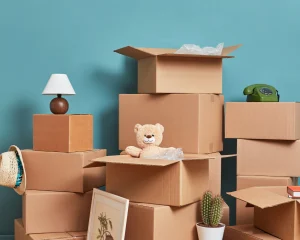 move in move out